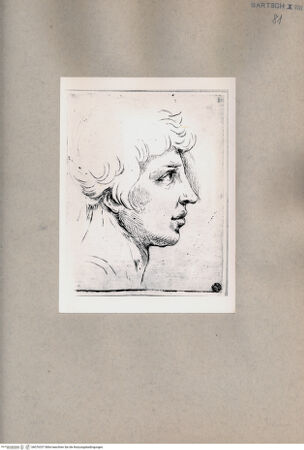 Vorderseite von  [http://creativecommons.org/publicdomain/mark/1.0/] Der Kopf eines Mannes - , bh076337. Foto.