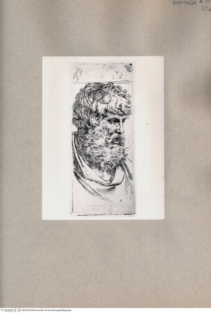 Vorderseite von  [http://creativecommons.org/publicdomain/mark/1.0/] Kopf eines älteren, bärtigen Mannes - , bh076338. Foto.