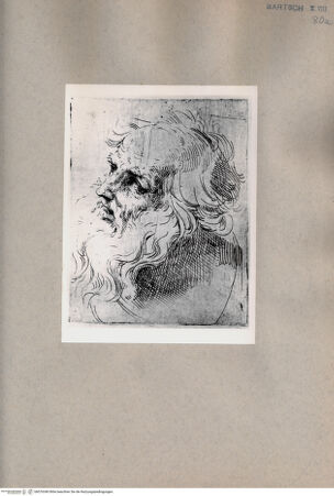 Vorderseite von  [http://creativecommons.org/publicdomain/mark/1.0/] Kopf eines alten Mannes mit Bart - , bh076340. Foto.