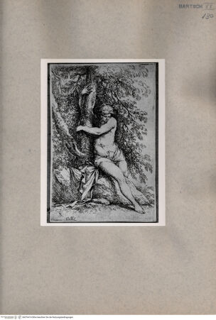 Vorderseite von  [http://creativecommons.org/publicdomain/mark/1.0/] Eine Frau - , bh076414. Foto.