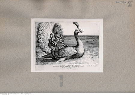 Vorderseite von  [http://creativecommons.org/publicdomain/mark/1.0/] Eurytos, Echion und Aithalides - , bh076463. Foto.