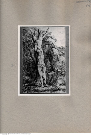 Vorderseite von  [http://creativecommons.org/publicdomain/mark/1.0/] Heiliger Albert - , bh076496. Foto.