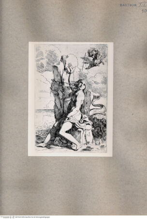 Vorderseite von  [http://creativecommons.org/publicdomain/mark/1.0/] Andromeda - , bh076633. Foto.