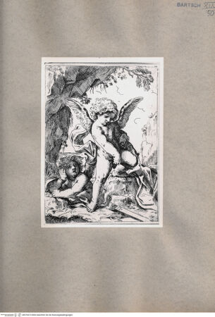 Vorderseite von  [http://creativecommons.org/publicdomain/mark/1.0/] Amor - , bh076673. Foto.