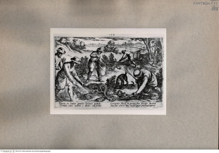 Vorderseite von  [http://creativecommons.org/publicdomain/mark/1.0/] Die Jagd - , bh076761. Foto.