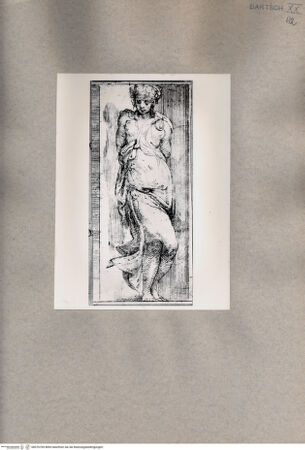 Vorderseite von  [http://creativecommons.org/publicdomain/mark/1.0/] Junge Frau - , bh076769. Foto.