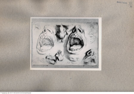 Vorderseite von  [http://creativecommons.org/publicdomain/mark/1.0/] Gesichtsstudien - , bh076771. Foto.