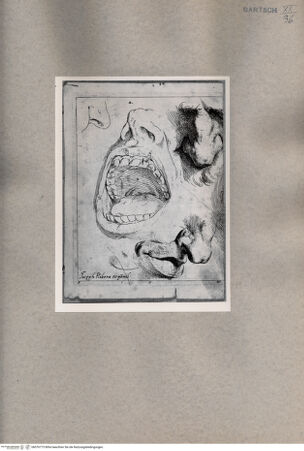 Vorderseite von  [http://creativecommons.org/publicdomain/mark/1.0/] Gesichtsstudien - , bh076773. Foto.