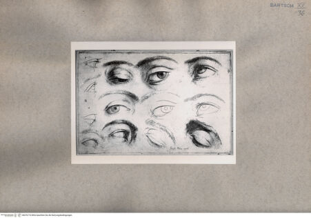 Vorderseite von  [http://creativecommons.org/publicdomain/mark/1.0/] Augenstudien - , bh076774. Foto.