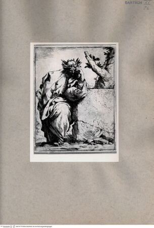 Vorderseite von  [http://creativecommons.org/publicdomain/mark/1.0/] Der Dichter - , bh076778. Foto.