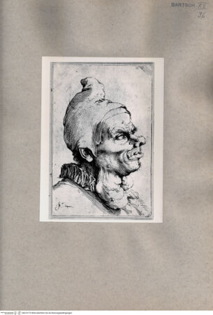 Vorderseite von  [http://creativecommons.org/publicdomain/mark/1.0/] Entstellter Kopf - , bh076779. Foto.