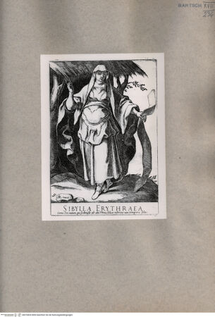 Vorderseite von  [http://creativecommons.org/publicdomain/mark/1.0/] Erythräische Sibylle - , bh076820. Foto.