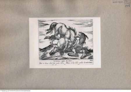 Vorderseite von  [http://creativecommons.org/publicdomain/mark/1.0/] Zwei Pferde - , bh076842. Foto.