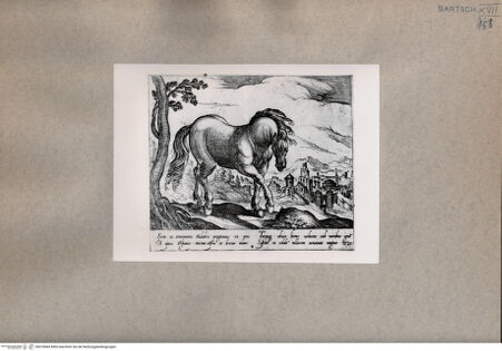 Vorderseite von  [http://creativecommons.org/publicdomain/mark/1.0/] Ein Pferd - , bh076844. Foto.