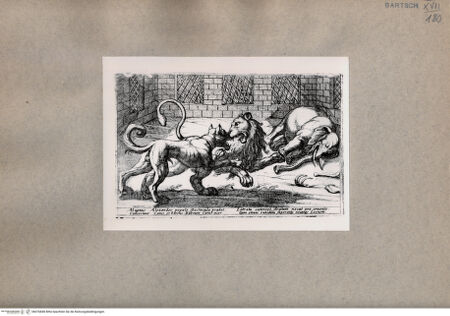 Vorderseite von  [http://creativecommons.org/publicdomain/mark/1.0/] Tiere im Kampf - , bh076848. Foto.