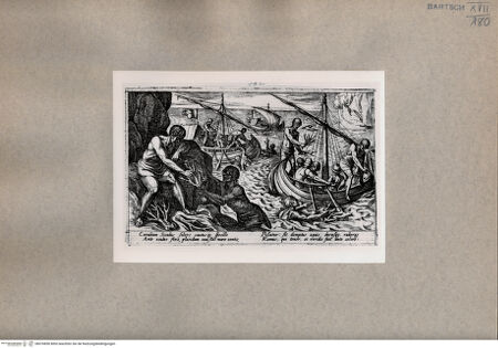 Vorderseite von  [http://creativecommons.org/publicdomain/mark/1.0/] Korallenfischer - , bh076850. Foto.