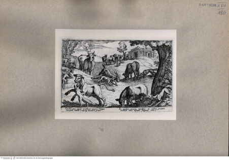 Vorderseite von  [http://creativecommons.org/publicdomain/mark/1.0/] Die Jagd - , bh076856. Foto.