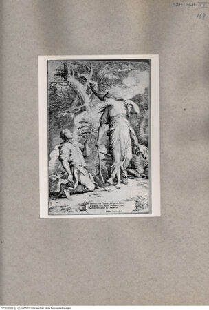 Vorderseite von  [http://creativecommons.org/publicdomain/mark/1.0/] Ceres und Phytalus - , bh076911. Foto.