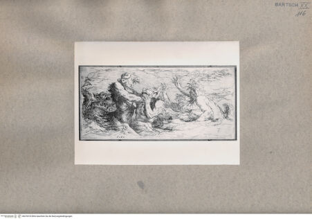 Vorderseite von  [http://creativecommons.org/publicdomain/mark/1.0/] Tritonen - , bh076918. Foto.