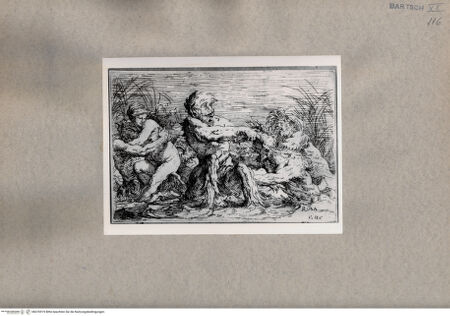 Vorderseite von  [http://creativecommons.org/publicdomain/mark/1.0/] Tritonen - , bh076919. Foto.