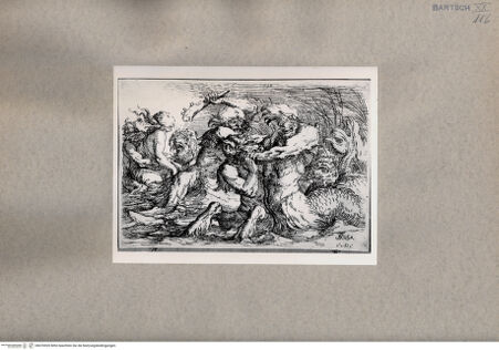 Vorderseite von  [http://creativecommons.org/publicdomain/mark/1.0/] Tritonen - , bh076920. Foto.