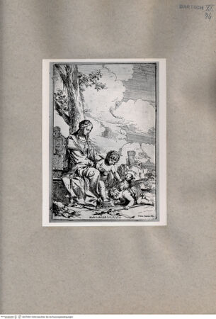 Vorderseite von  [http://creativecommons.org/publicdomain/mark/1.0/] Madonna mit Kind und Johannesknaben - , bh076961. Foto.