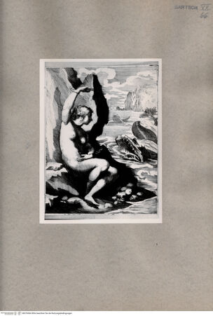Vorderseite von  [http://creativecommons.org/publicdomain/mark/1.0/] Andromeda - , bh076966. Foto.