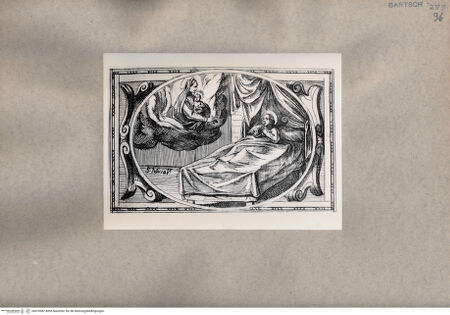 Vorderseite von  [http://creativecommons.org/publicdomain/mark/1.0/] Heilige Musa - , bh076987. Foto.