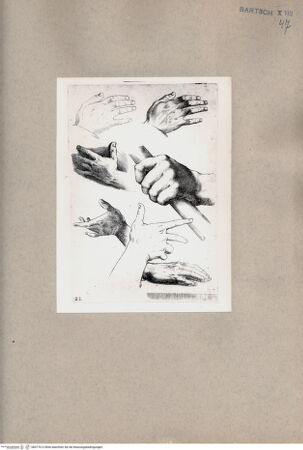 Vorderseite von  [http://creativecommons.org/publicdomain/mark/1.0/] Handstudien - , bh077013. Foto.