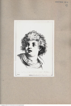 Vorderseite von  [http://creativecommons.org/publicdomain/mark/1.0/] Kopf eines Jünglings - , bh077014. Foto.