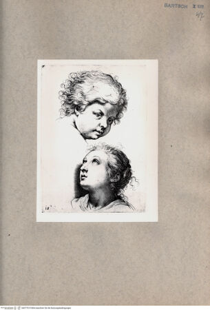 Vorderseite von  [http://creativecommons.org/publicdomain/mark/1.0/] Zwei Mädchenköpfe - , bh077015. Foto.