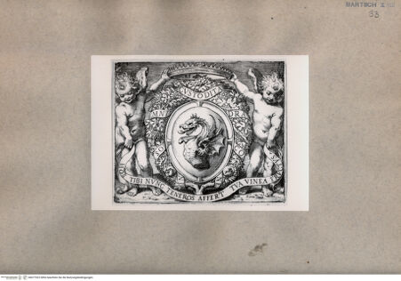 Vorderseite von  [http://creativecommons.org/publicdomain/mark/1.0/] Wappen des Herzogs Boncampagni, Marquis von Vignola - , bh077023. Foto.