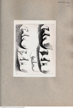 Vorderseite von  [http://creativecommons.org/publicdomain/mark/1.0/] Gesichterstudie - , bh077027. Foto.