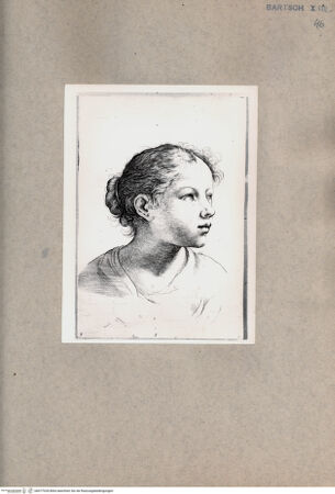 Vorderseite von  [http://creativecommons.org/publicdomain/mark/1.0/] Kopf eines jungen Mädchens im Profil - , bh077028. Foto.