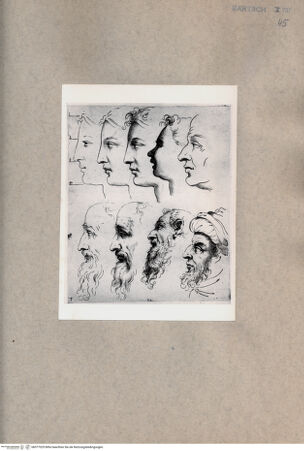 Vorderseite von  [http://creativecommons.org/publicdomain/mark/1.0/] Studie zu verschiedenen Gesichtern - , bh077029. Foto.