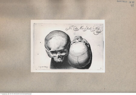 Vorderseite von  [http://creativecommons.org/publicdomain/mark/1.0/] Zwei Totenköpfe - , bh077041. Foto.