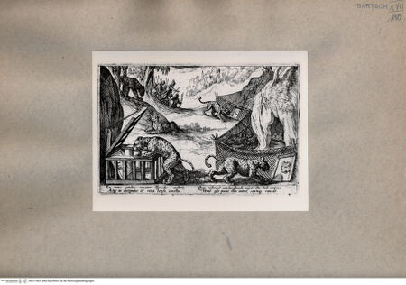 Vorderseite von  [http://creativecommons.org/publicdomain/mark/1.0/] Jagd - , bh077062. Foto.