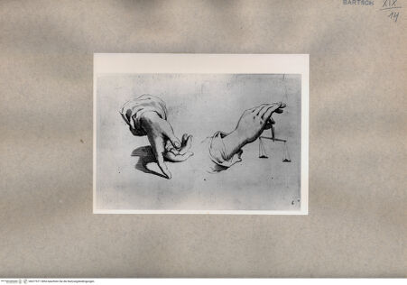 Vorderseite von  [http://creativecommons.org/publicdomain/mark/1.0/] Handstudien - , bh077071. Foto.