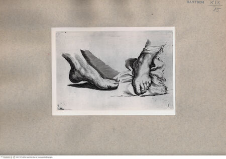 Vorderseite von  [http://creativecommons.org/publicdomain/mark/1.0/] Fußstudien - , bh077076. Foto.