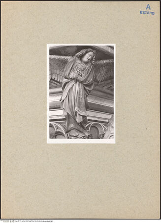 Vorderseite von bh078013_recto