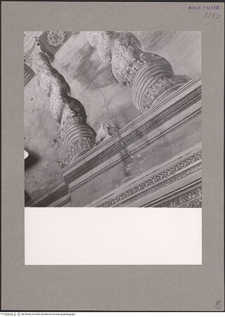 Vorderseite von bh078369_recto