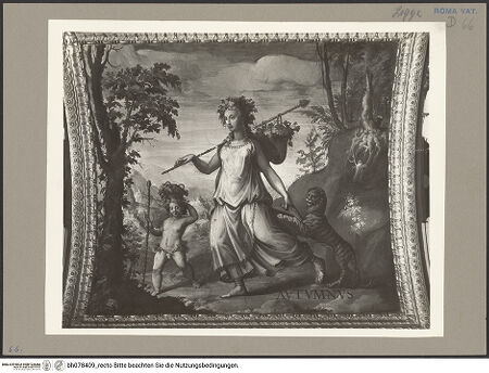 Vorderseite von bh078409_recto