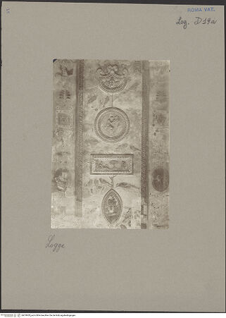 Vorderseite von Bibliotheca Hertziana [http://creativecommons.org/publicdomain/mark/1.0/] Stuckdekoration und Groteskenmalerei der Loggien Leos X.7. Pilaster - Pilaster 7, Hofseite, Detail, bh078429_recto. Foto: Faraglia, Cesare.