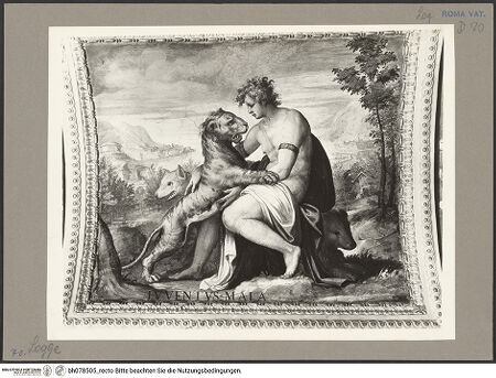 Vorderseite von bh078505_recto