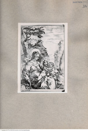 Vorderseite von  [http://creativecommons.org/publicdomain/mark/1.0/] Madonna mit Kind und Johannes - , bh078589. Foto.