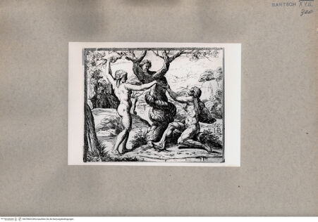 Vorderseite von  [http://creativecommons.org/publicdomain/mark/1.0/] Erbsünde - , bh078603. Foto.