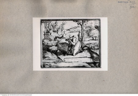 Vorderseite von  [http://creativecommons.org/publicdomain/mark/1.0/] Brennender Dornbusch - , bh078608. Foto.