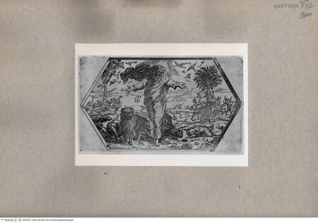 Vorderseite von  [http://creativecommons.org/publicdomain/mark/1.0/] Erschaffung der Tiere - , bh078617. Foto.