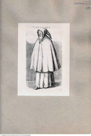 Vorderseite von  [http://creativecommons.org/publicdomain/mark/1.0/] Kapuziner - , bh078682. Foto.