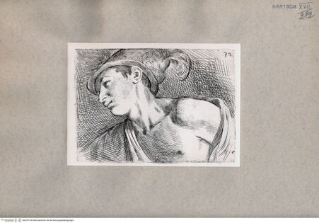 Vorderseite von  [http://creativecommons.org/publicdomain/mark/1.0/] Junger Mann mit entblößter Schulter - , bh078728. Foto.